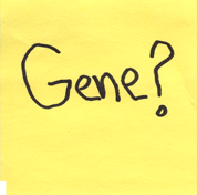 genes_name